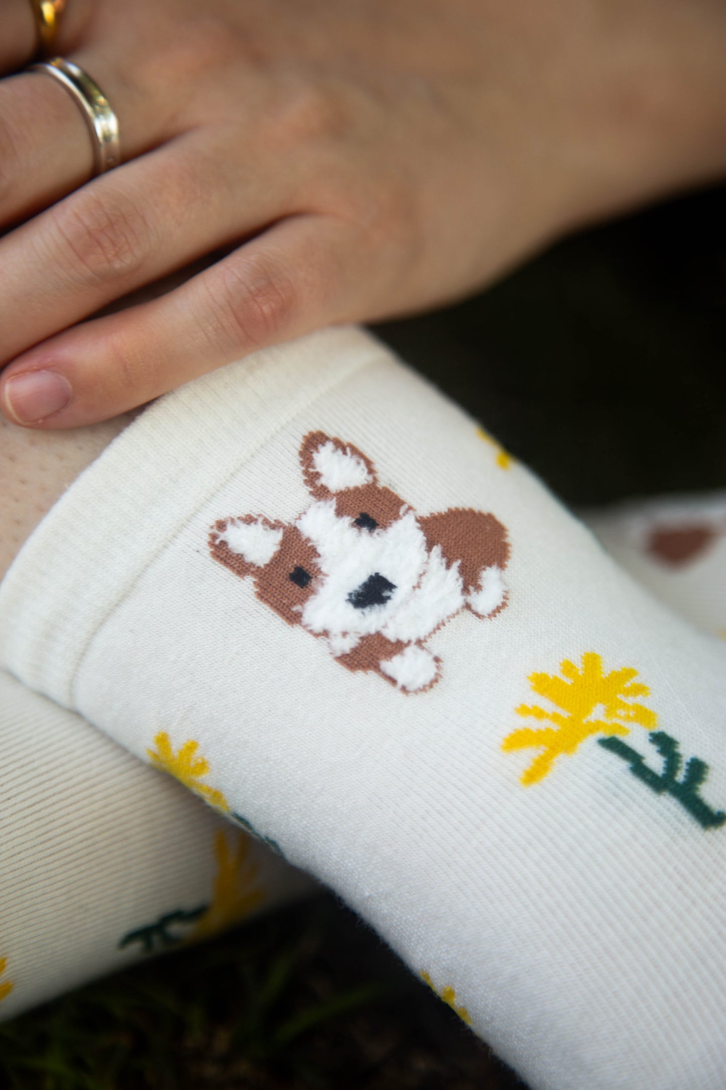 Corgi Socks